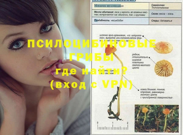крисы Протвино