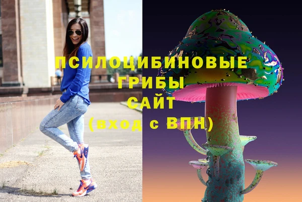 шишки Баксан