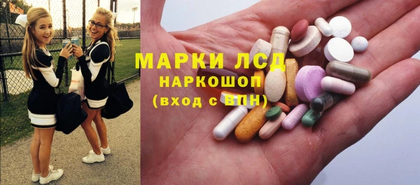 шишки Баксан