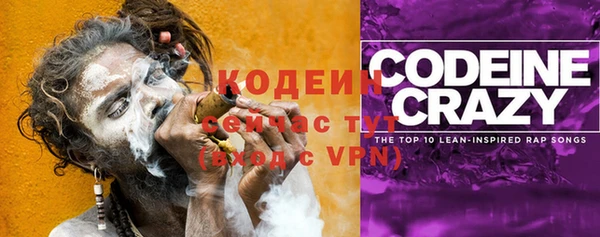 шишки Баксан