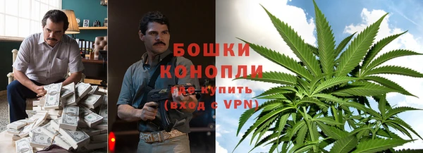 шишки Баксан