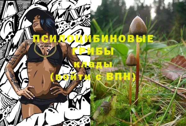 прущие крисы Арсеньев