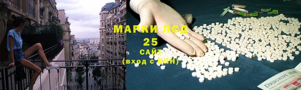 шишки Баксан