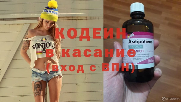 ешки Аркадак